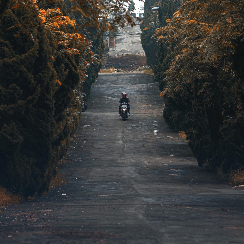One Long Ride cover artwork